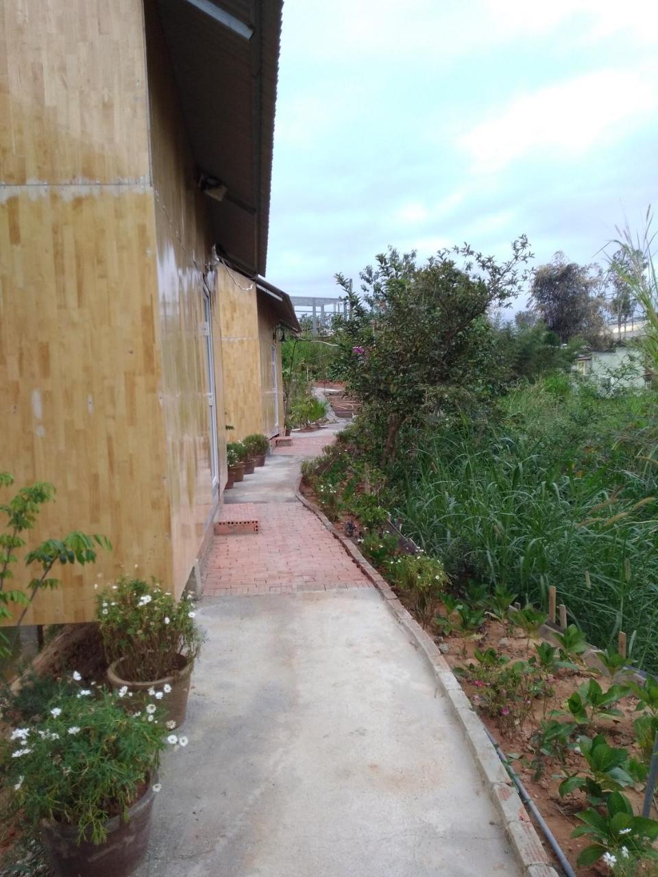 My House Bungalow Νταλάτ Εξωτερικό φωτογραφία